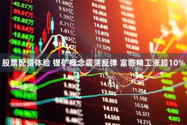 股票配资体验 锂矿概念震荡反弹 富临精工涨超10%