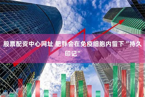 股票配资中心网址 肥胖会在免疫细胞内留下“持久印记”